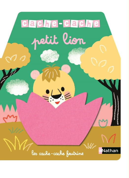 Kniha Cache-cache petit lion 