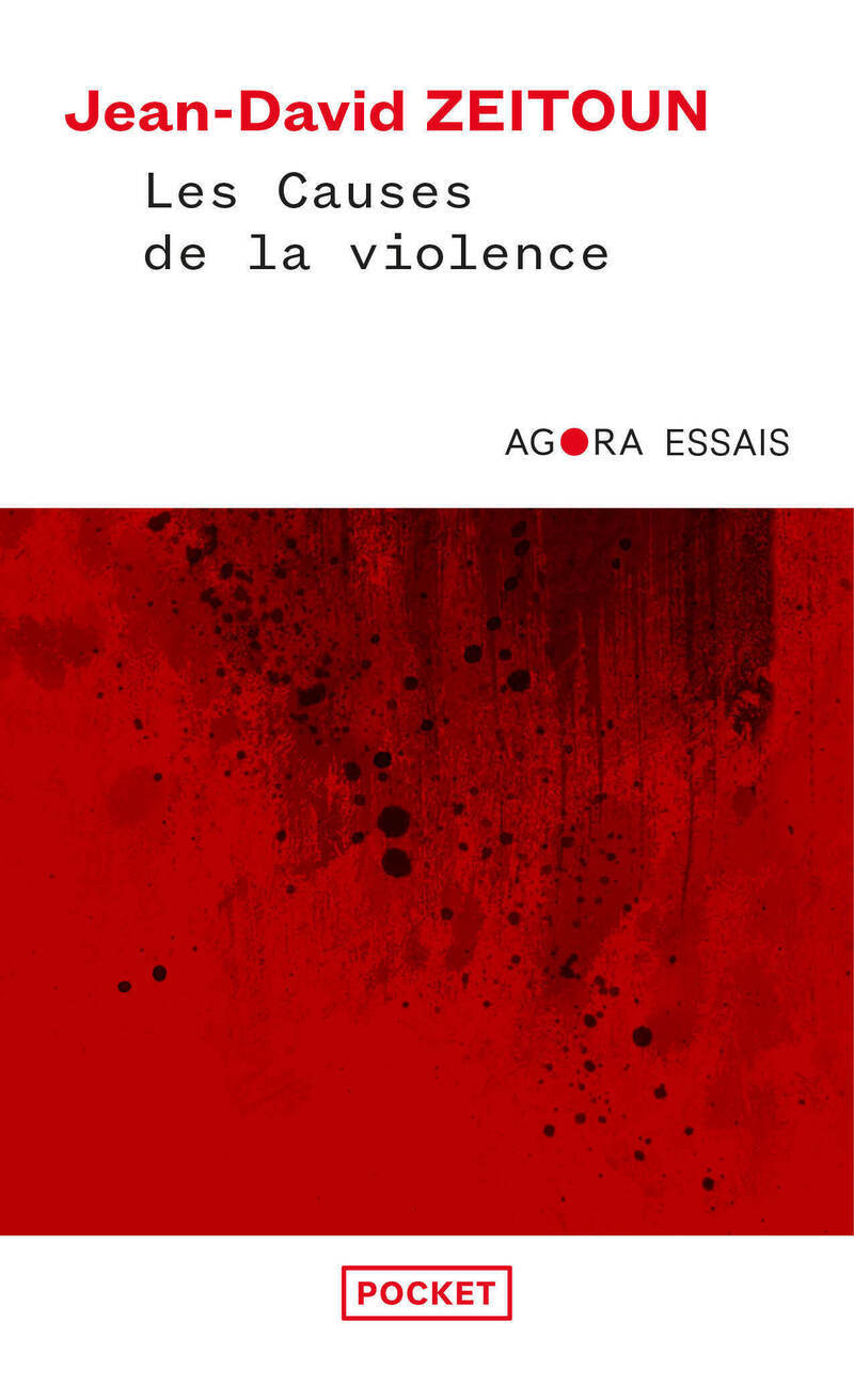 Buch Les Causes de la violence Jean-David Zeitoun
