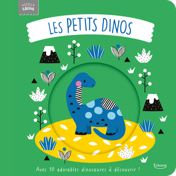 Buch Les petits dinos Rebecca Weerasekera