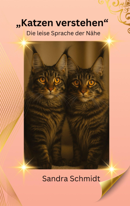 Knjiga Katzen verstehen Sandra Schmidt