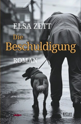 Kniha Die Beschuldigung Elsa Zett