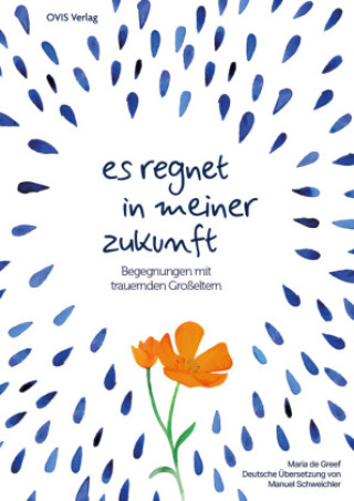 Kniha Es regnet in meiner Zukunft Maria de Greef