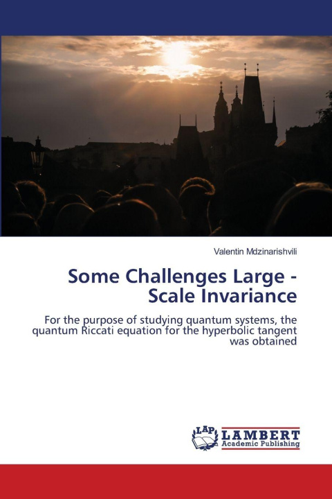 Kniha Some Challenges Large - Scale Invariance Valentin Mdzinarishvili