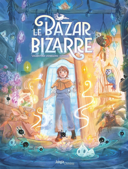 Buch Le Bazar bizarre Valentina Venegoni