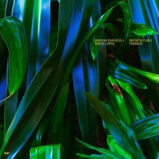 Audio Uncontrollable Thoughts 