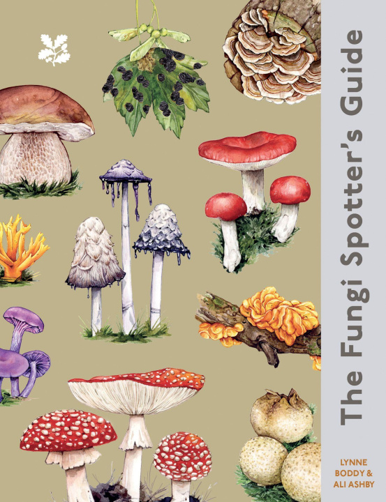 Βιβλίο The Fungi Spotter's Guide Lynne Boddy