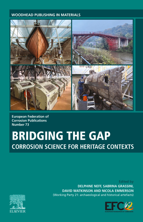 E-kniha Bridging the Gap Delphine Neff