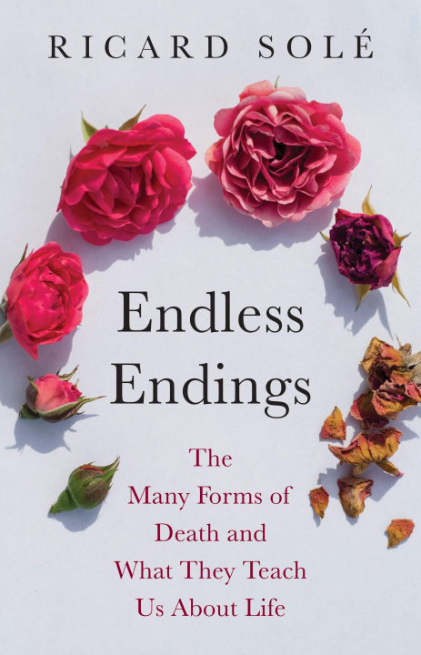 Kniha Endless Endings SOLE RICARD