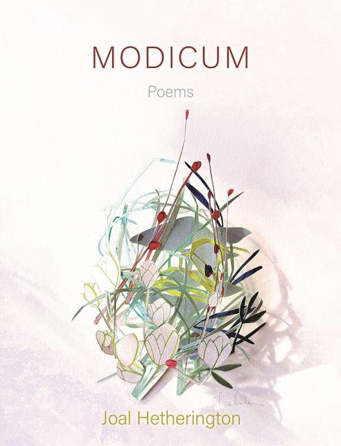 Knjiga Modicum Hetherington