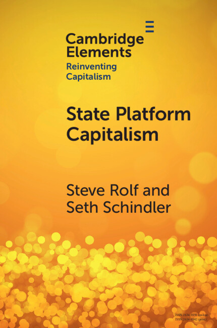 Libro State Platform Capitalism Steve Rolf