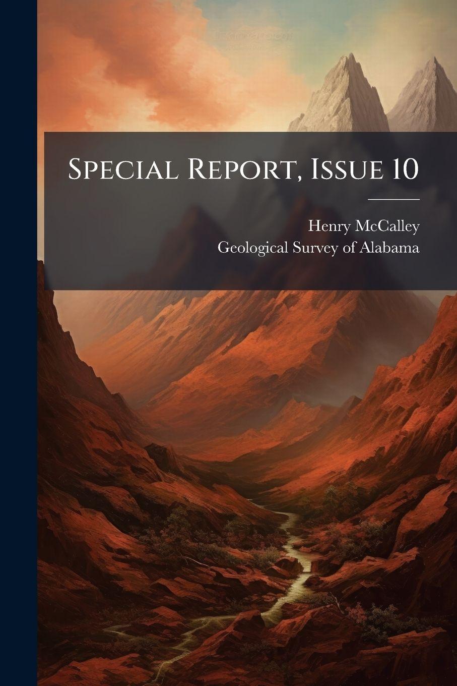 Kniha Special Report, Issue 10 