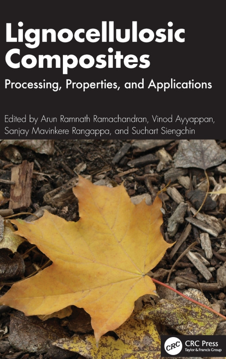 Kniha Lignocellulosic Composites Sanjay Mavinkere Rangappa