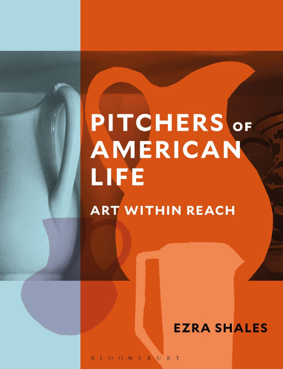 Knjiga Pitchers of American Life Shales
