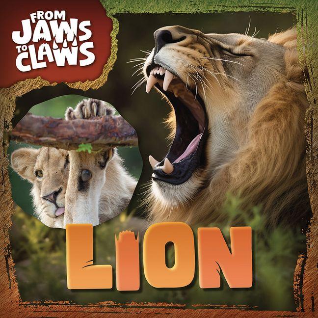 Kniha Lion 