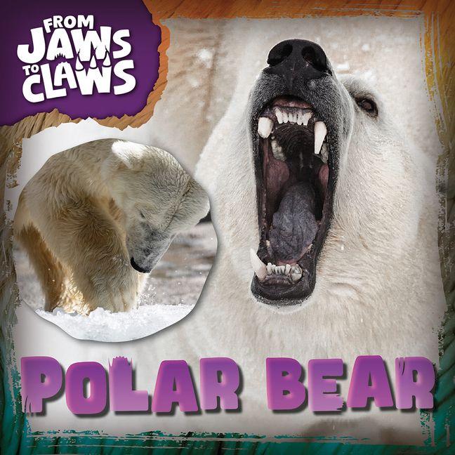 Βιβλίο Polar Bear 