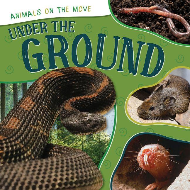Книга Under the Ground 