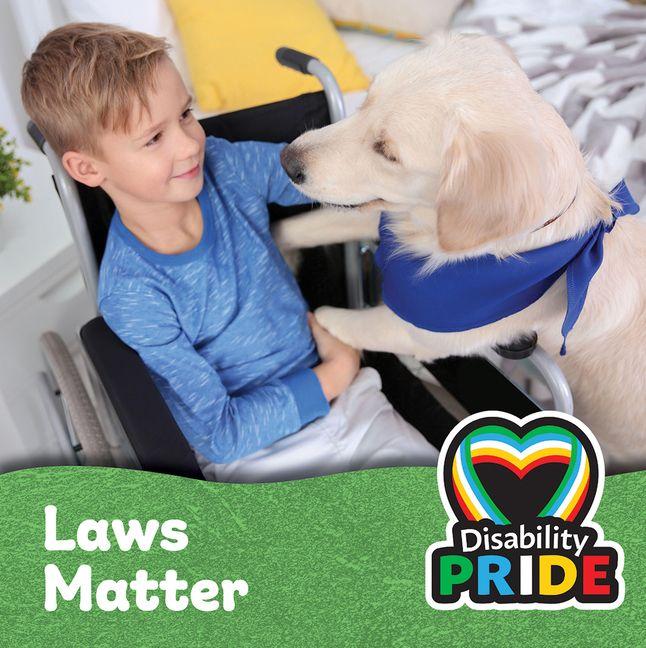 Knjiga Laws Matter 