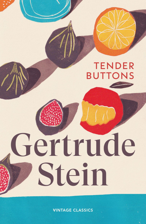 Kniha Tender Buttons Gertrude Stein