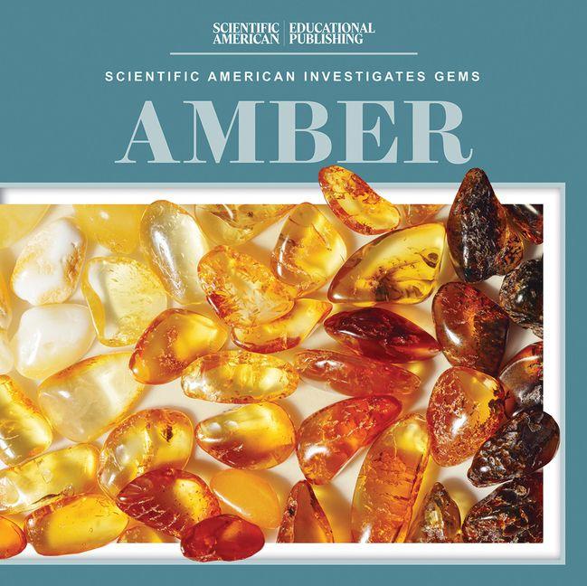 Kniha Amber 