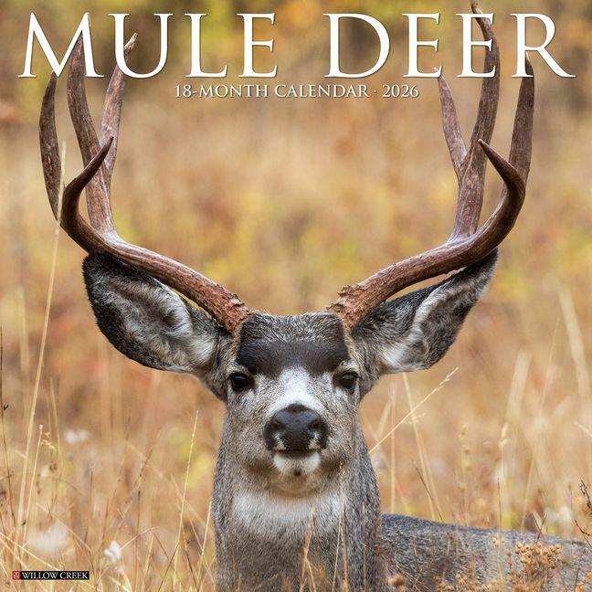 Kalendár/Diár Mule Deer 2026 12 X 12 Wall Calendar 