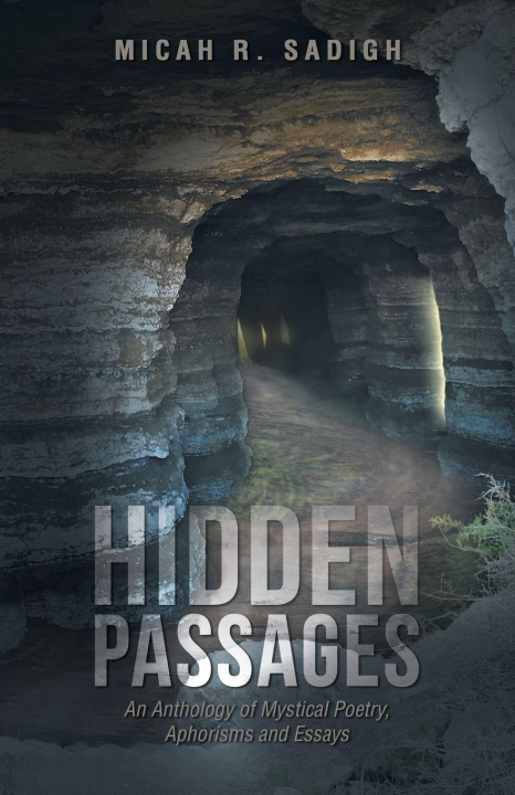 Boek Hidden Passages Micah R. Sadigh