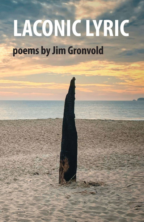 Kniha Laconic Lyric Jim Gronvold