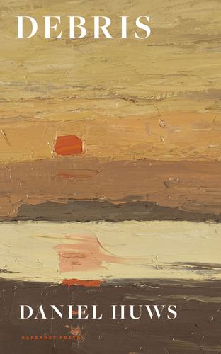 Kniha Debris Daniel Huws