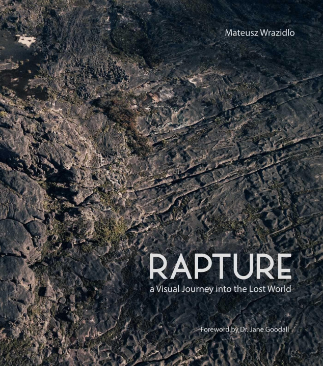 Kniha Rapture Mateusz Wrazidlo