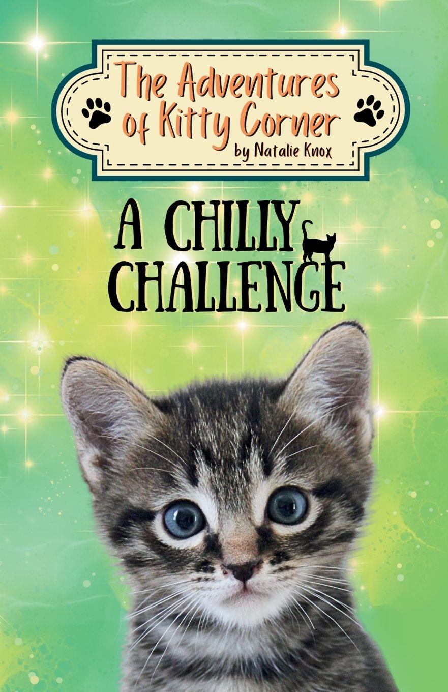 Knjiga A Chilly Challenge Delia Swart