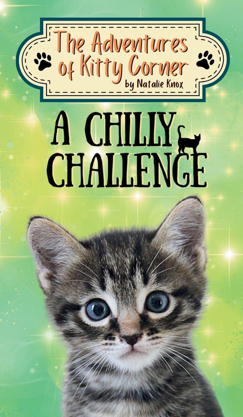 Kniha A Chilly Challenge Delia Swart