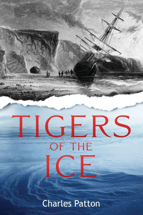 Kniha Tigers of the Ice Charles Patton