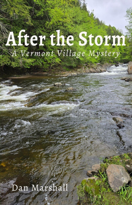 Knjiga After the Storm Dan Marshall