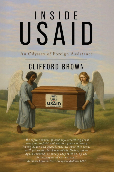 Kniha Inside USAid Clifford Brown