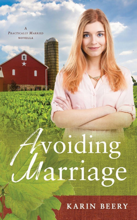 Kniha Avoiding Marriage Karin Beery