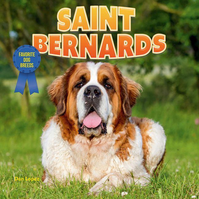 Kniha Saint Bernards 
