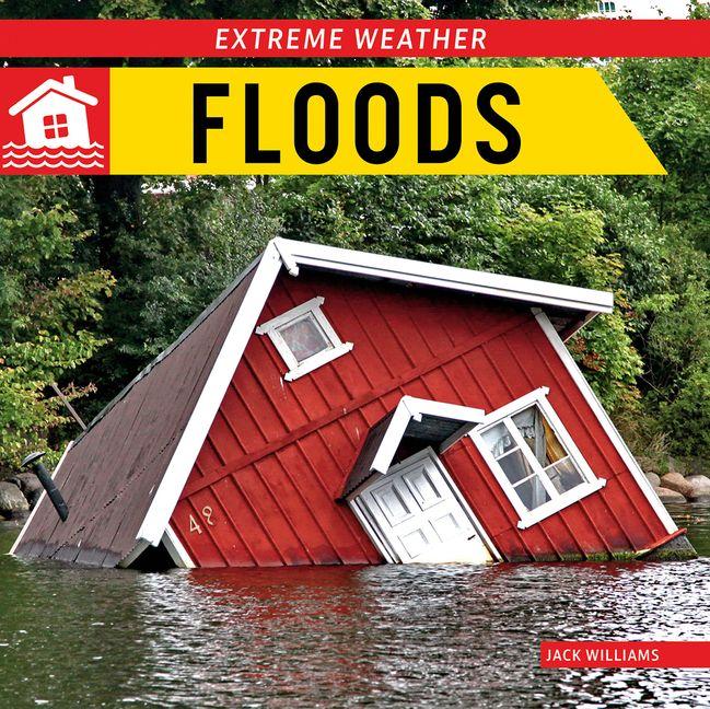 Kniha Floods 