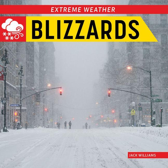 Kniha Blizzards 