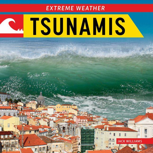 Boek Tsunamis 