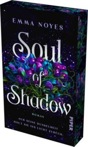 Βιβλίο Soul of Shadow Diana Bürgel