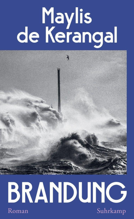 Knjiga Brandung Andrea Spingler