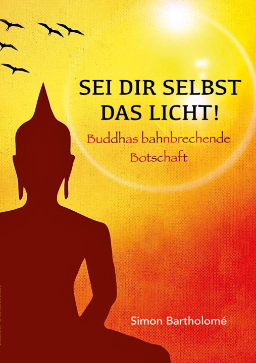 Livro Sei dir selbst das Licht! Simon Bartholome