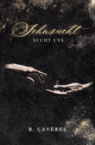 Книга Sehnsucht B. Çavêres