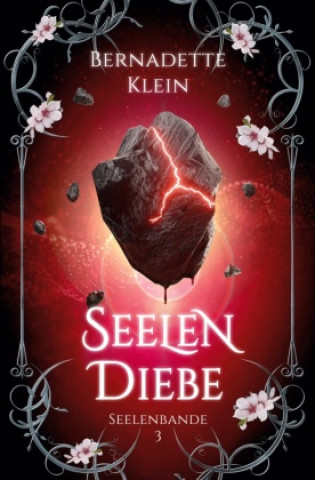 Buch Seelendiebe Bernadette Klein