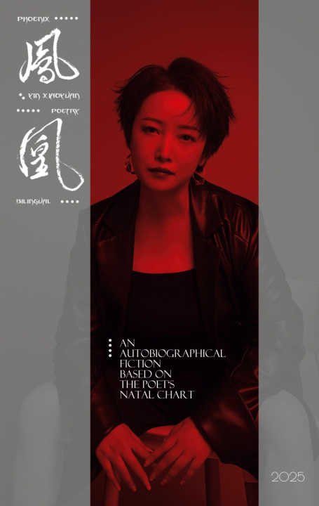 Kniha Phoenix Xiaoyuan Yin