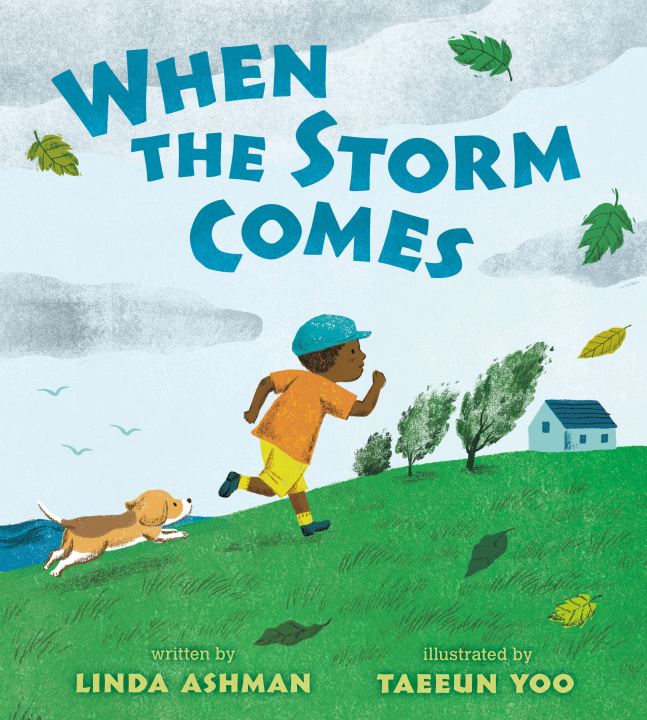 Buch When the Storm Comes Taeeun Yoo