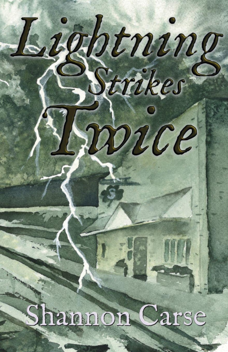 Boek Lightning Strikes Twice Shannon Carse