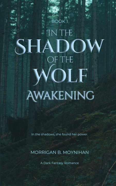 Kniha In the Shadow of the Wolf Morrigan B Moynihan