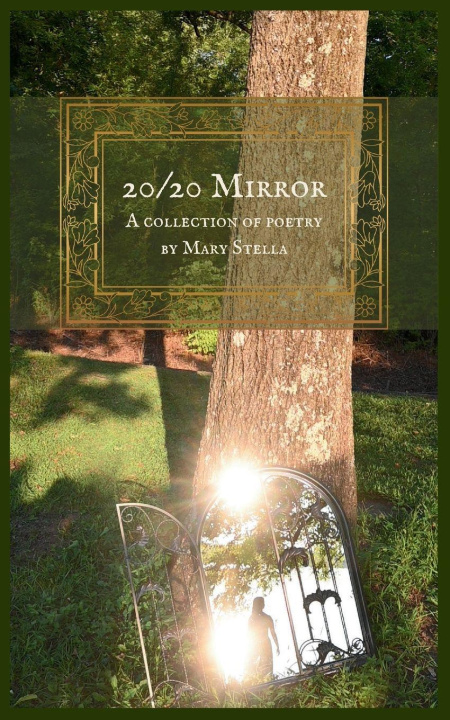 Boek 20/20 Mirror Mary Stella