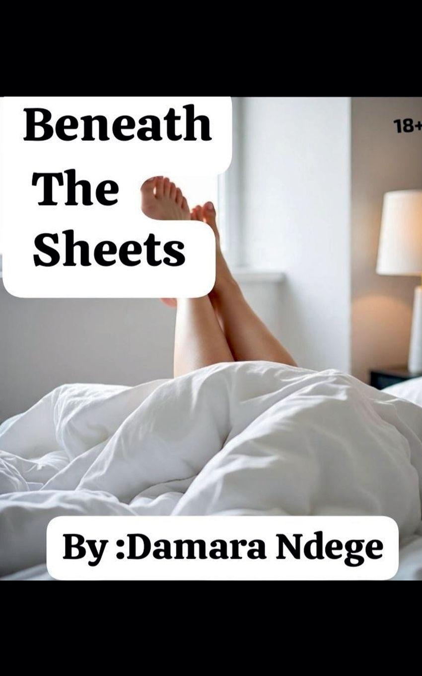 Knjiga Beneath The Sheets Damara Ndege