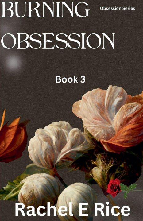 Kniha Burning Obsession Book 3 Rachel E Rice